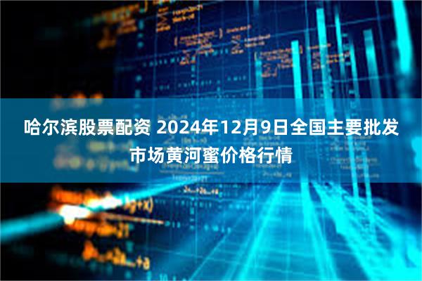 哈尔滨股票配资 2024年12月9日全国主要批发市场黄河蜜价格行情