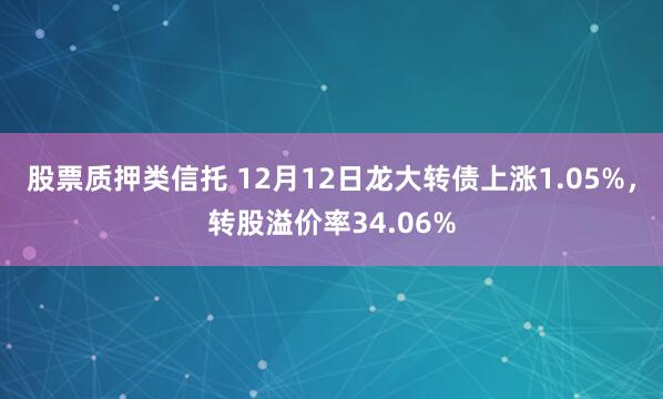 股票质押类信托 12月12日龙大转债上涨1.05%，转股溢价率34.06%