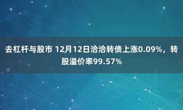 去杠杆与股市 12月12日洽洽转债上涨0.09%，转股溢价率99.57%