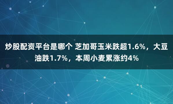 炒股配资平台是哪个 芝加哥玉米跌超1.6%，大豆油跌1.7%，本周小麦累涨约4%