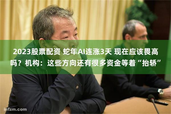 2023股票配资 蛇年AI连涨3天 现在应该畏高吗？机构：这些方向还有很多资金等着“抬轿”