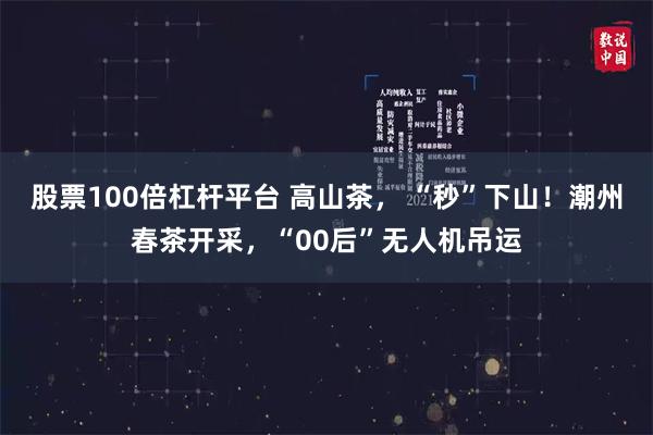 股票100倍杠杆平台 高山茶， “秒”下山！潮州春茶开采，“00后”无人机吊运