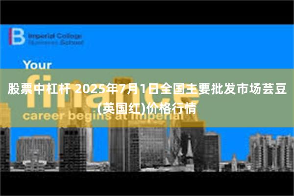 股票中杠杆 2025年7月1日全国主要批发市场芸豆(英国红)价格行情